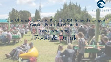 The Ultimate Guide to Bloom 2024